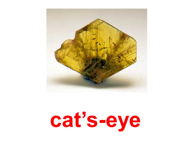 cat’s-eye